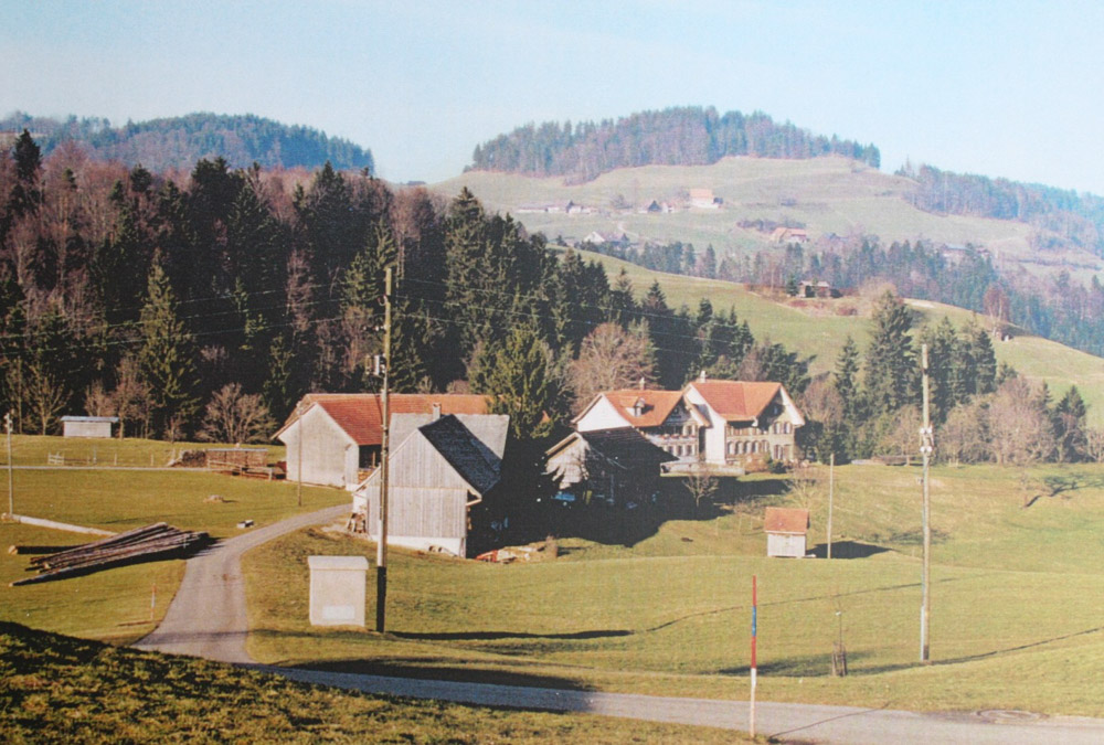 Bruno Hollenstein Bild5